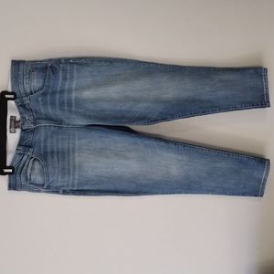 Democracy plus size ankle jeans
